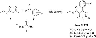 Dihydropyrimidinones Against Multiresistant Bacteria